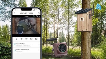 WiFi bird Box Camera Review