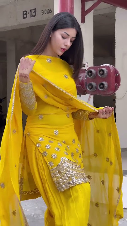 Meenakshi Sharma Punjabi new reels 2024❤❤Subscribe and like Share #reels #new #Indian #Punjabi #love