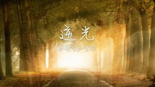 Download lagu 《逆光 Against The Light》孫燕姿 Stefanie Sun [Clarinet Cover]