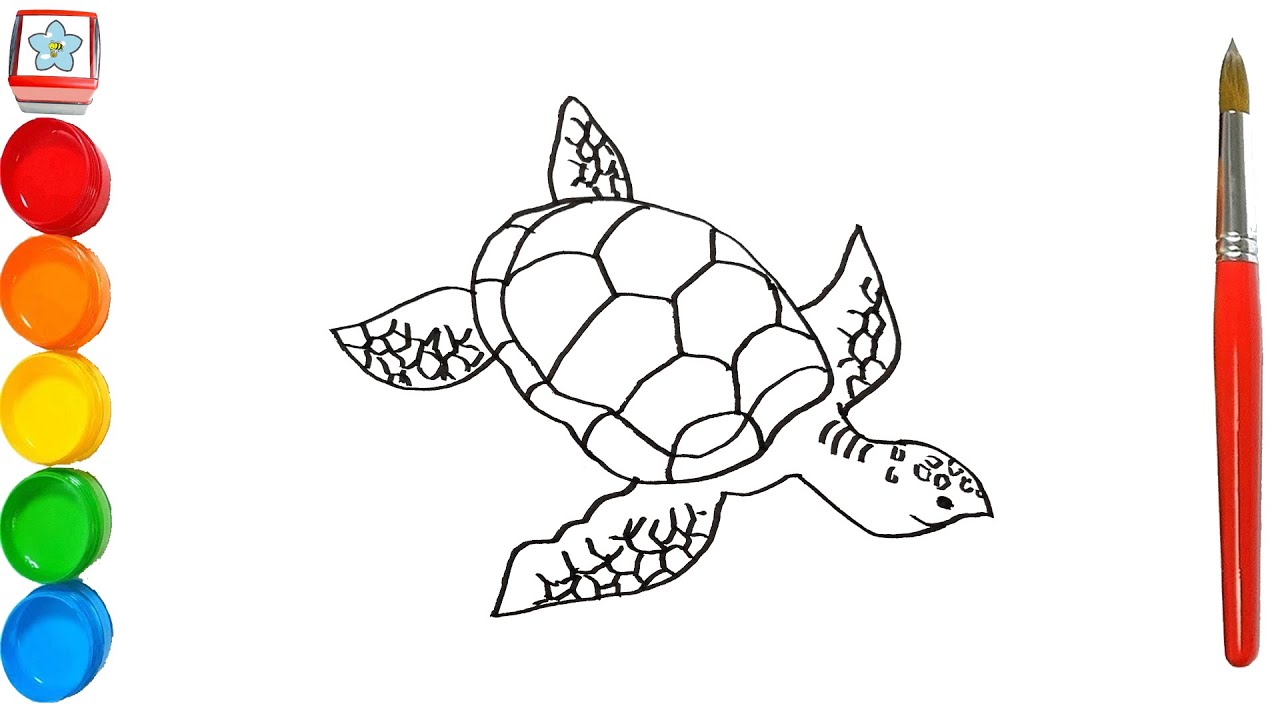 Xem hơn 100 ảnh về hình vẽ con rùa biển  NEC