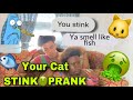 YOUR KAT STINK🐱PRANK ON GirlFRIEND 🤣