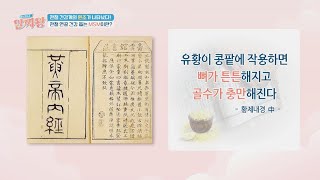 관절 건강계의 원조가 나타났다! 연골 건강 돕는 'MSM' | TV정보쇼 알짜왕 343회 | JTBC 231102 방송