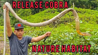 release 30 cobra