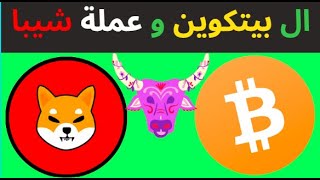 Bitcoin , Shiba inu Today :  تحليل ال بيتكوين و عملة شيبا إينو اليوم