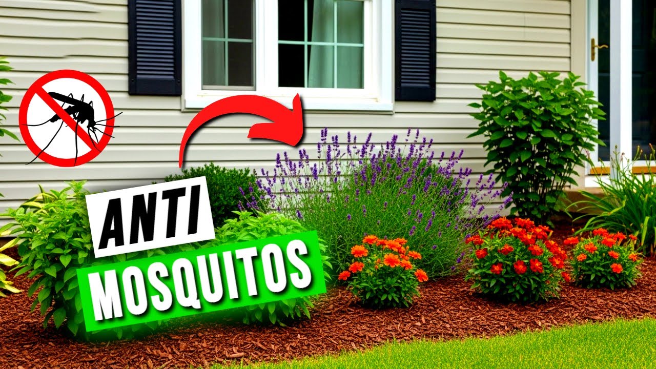 10 PLANTAS que AHUYENTAN a los MOSQUITOS de INMEDIATO ✅