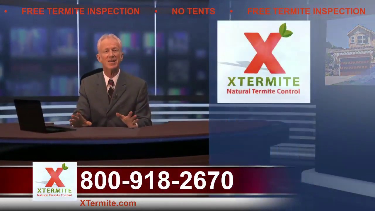 Xtermite Breaking News on Termite Treatment - YouTube