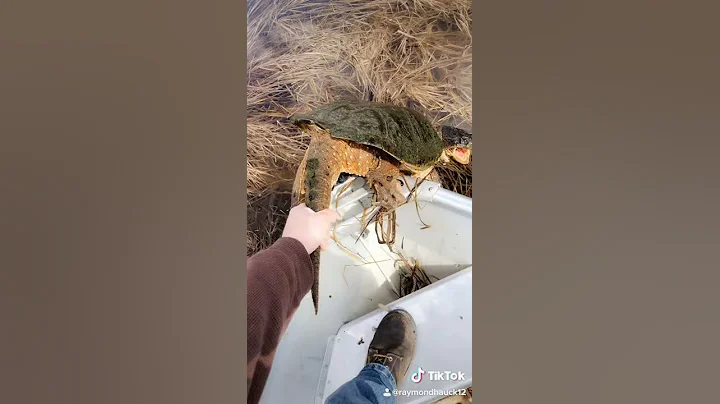 Outdoor fun!