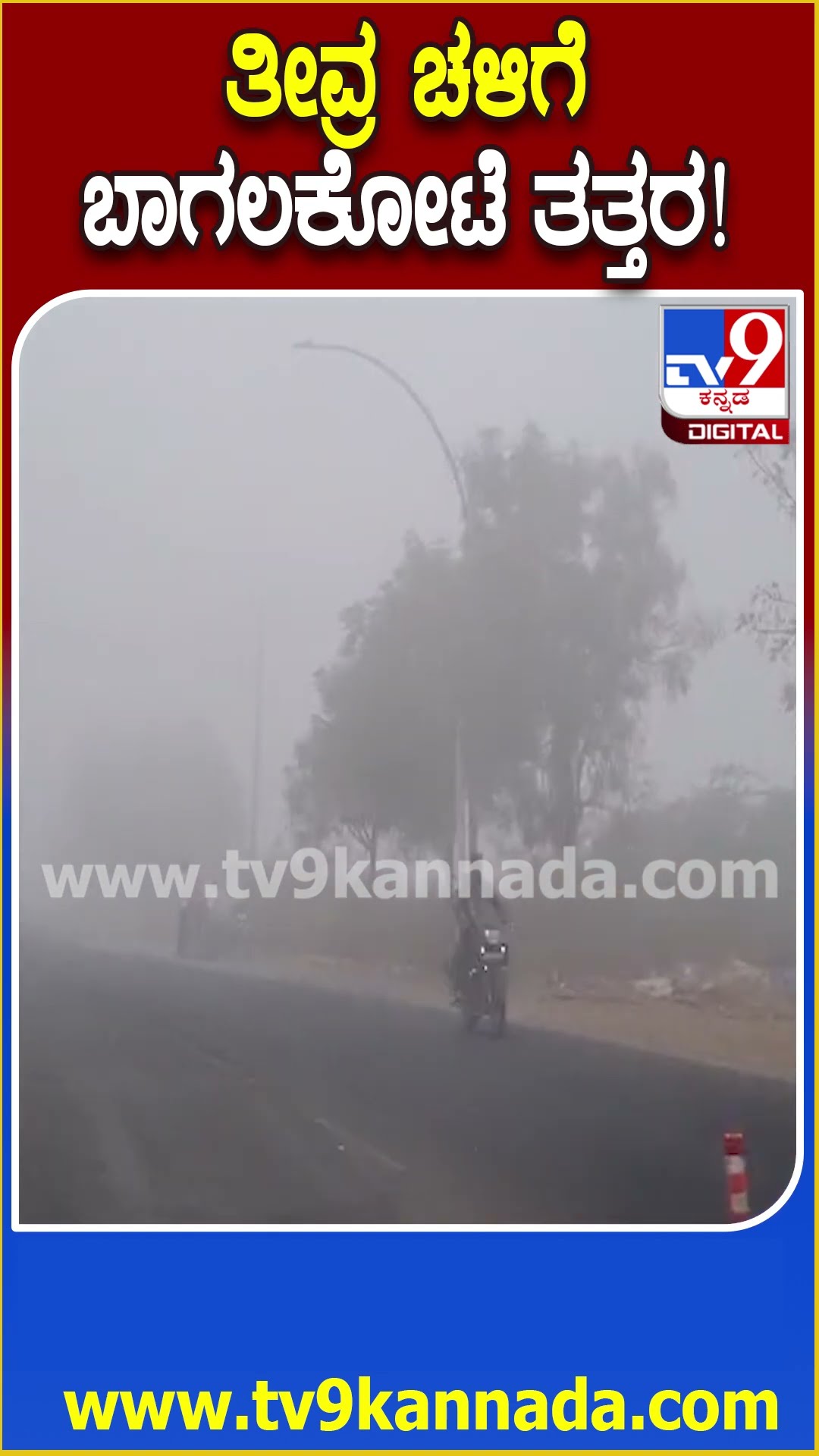 Cold Wave​s: ಮಂಜು ಕವಿದ ವಾತಾವರಣ, ತೀವ್ರ ಚಳಿಗೆ ತತ್ತರಿಸಿದ ಬಾಗಲಕೋಟೆ ಜನರು | #TV9D