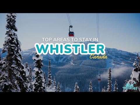 Reproductor de vídeo de YouTube