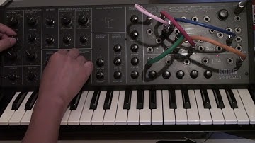 Korg MS-20 a simple techno loop 17 #korgms20