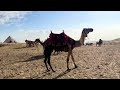 Giza Egypt February 2026 