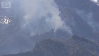 埼玉・秩父“山火事”自衛隊に災害派遣要請　5日に“ほぼ消し止め”発表も再び炎確認(2026年2月6日)