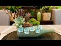 Succulent Arrangement in Ceramic Bottle