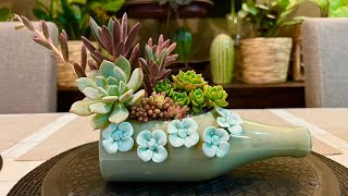 Succulent Arrangement in Ceramic Bottle