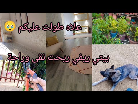 عالم ام ريتاج راني جيت افتحو لباب روتين نشاط ريحة نقا في داري خضراء بإذن الله