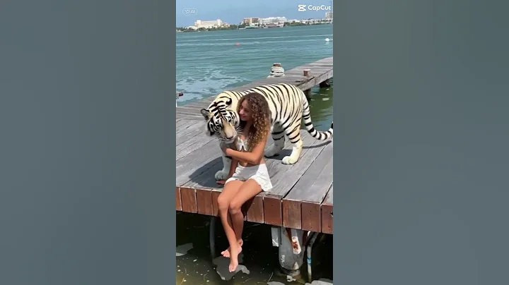 Subscribe to my channel and have fun watching my videos #shorts