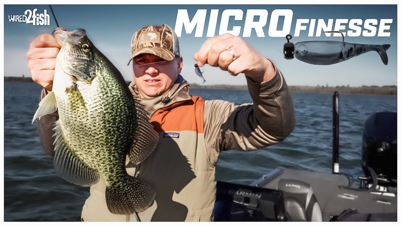 Fall Crappie Fishing with Micro Plastics and BFS 