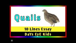 Quail Calling Sound | Relaxing and Natural Bird Sounds screenshot 4