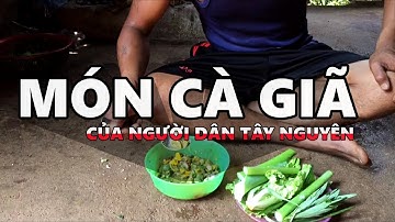 THỬ MÓN CÀ GIÃ CỦA NGƯỜI DÂN TÂY NGUYÊN | Y NGER NIÊ | CUỘC SỐNG THƯỜNG NGÀY