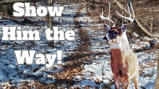 Guiding Deer Movement w/ Travel Corridors for More Shot Opportunities