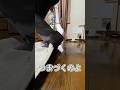 お家での転倒理由はこれ!#在宅看護 #看護師 #訪問看護 #訪問看護師 #転倒予防