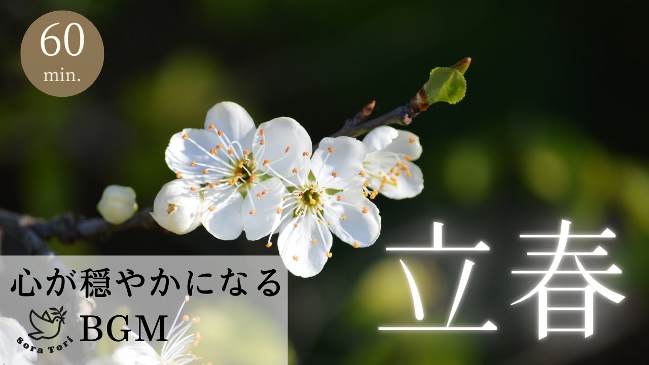 【BGM】立春　～心が穏やかになる～　６０分