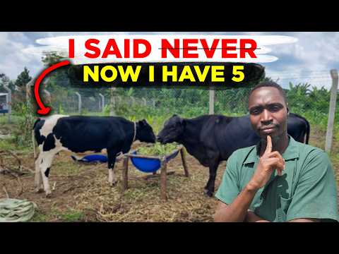 I Said I'd NEVER Keep Cattle. I Just Boought 5 - Why I Changed My Mind