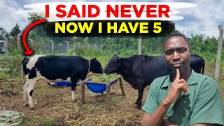 I Said I'd NEVER Keep Cattle. I Just Bought 5 - Why I Changed My Mind