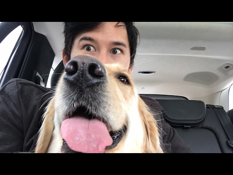 A Day With Chica - Part 5 - BAD SINGING: THE SEQUEL - A Day With Chica - Part 5 - BAD SINGING: THE SEQUEL