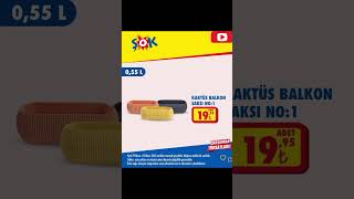 #ŞOK MARKETİNE İNDİRIMLİ BOY BOY RENKLİ #SAKSILAR GELİYO #BİTKİLERİN SAKSI DEĞİŞİMİ YENİLENME ZAMANI