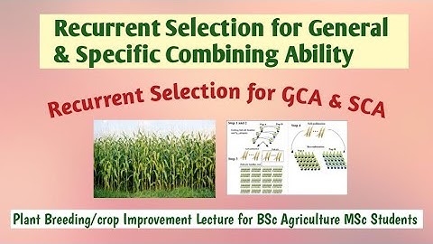 Recurrent selection for general combining ability and specific combining ability| GCA and SCA