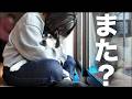またお姉ちゃん帰っちゃうの…？察してしまった柴犬の表情が切ない （№348）