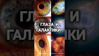 Доказательства единства человека и природы #фото #факты #zimmer