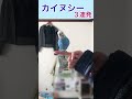 カイヌシー3連発 #セキセイインコ #shorts #birds #parakeet