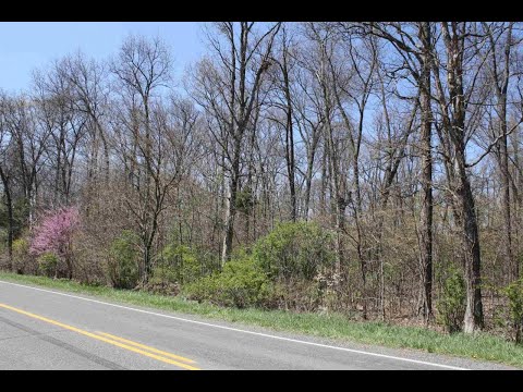 11141 Cleveland Road, Granger, IN home video tour