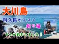 【大川島】阿久根市の穴場的な好釣り場!クロやチヌの他、良型のミズイカも釣れる