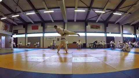 Cosa sono i dan nel Judo?