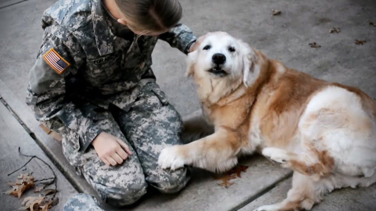 puppy happy to see owner