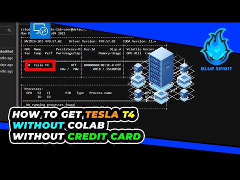 How To Get Tesla T4 Without Colab