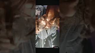 Proost En Deelt Fotos