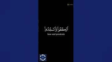 سورة الحج للقارئ ماهر المعيقلي