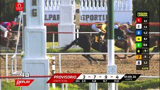 Vidéo de la course PMU GRAN VINO H.