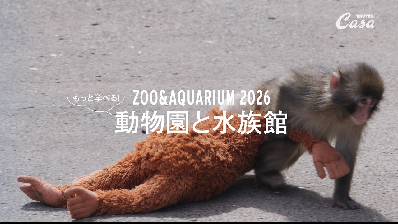 ニホンザルのパンチくんが暮らす〈市川市動植物園〉へ｜ZOO & AQUARIUM