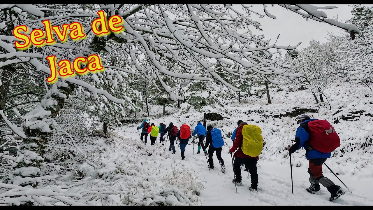 Paseo circular por la 