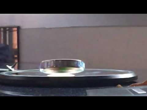 Euler's Disc Spinning on a Concave Mirror in Slow Motion