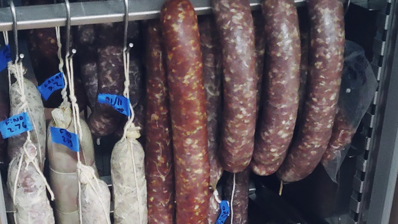 Dry Cured Salami fermentation and aging. YouTube