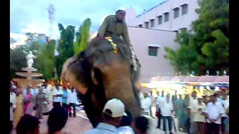 elephant making pradakshina in gajanan-aditya kalg...