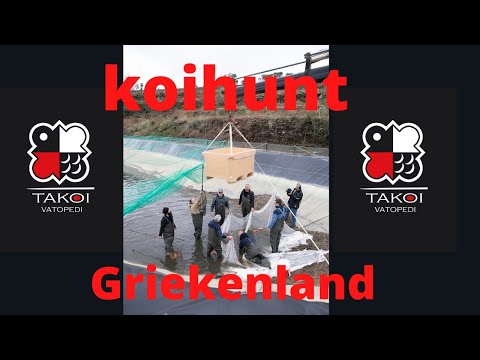 Video: 8 Veelgemaakte fouten bij toeristen in Griekenland