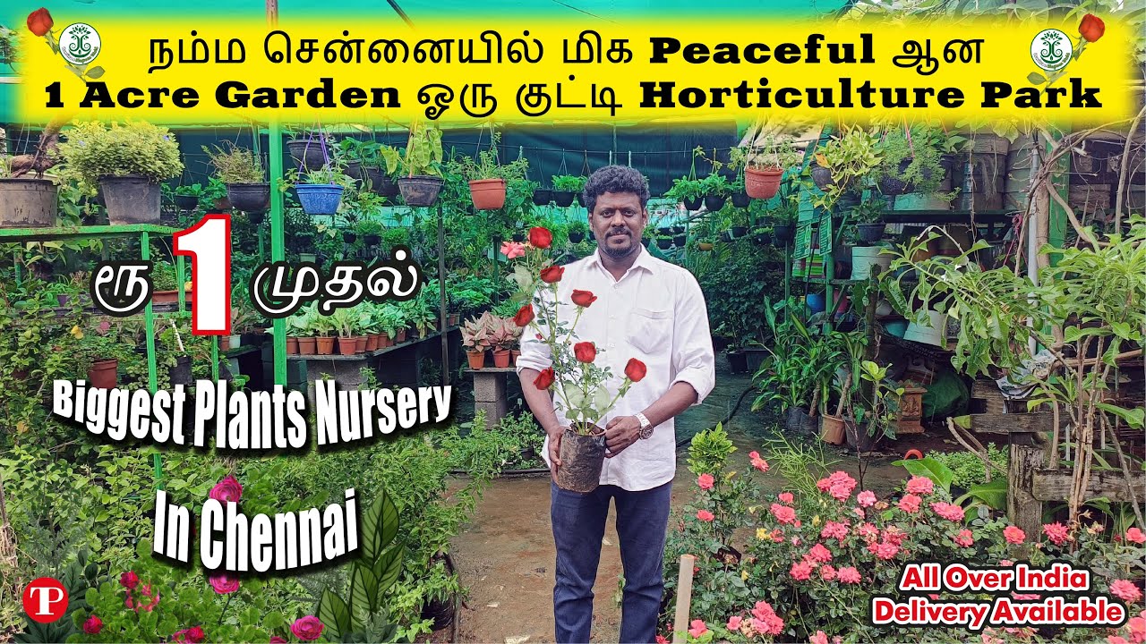 ரூ 1 முதல் இவ்வளவு கம்மியா விலையில் யாராலும் தர முடியாத Cheap and best Wholesale Nursery garden