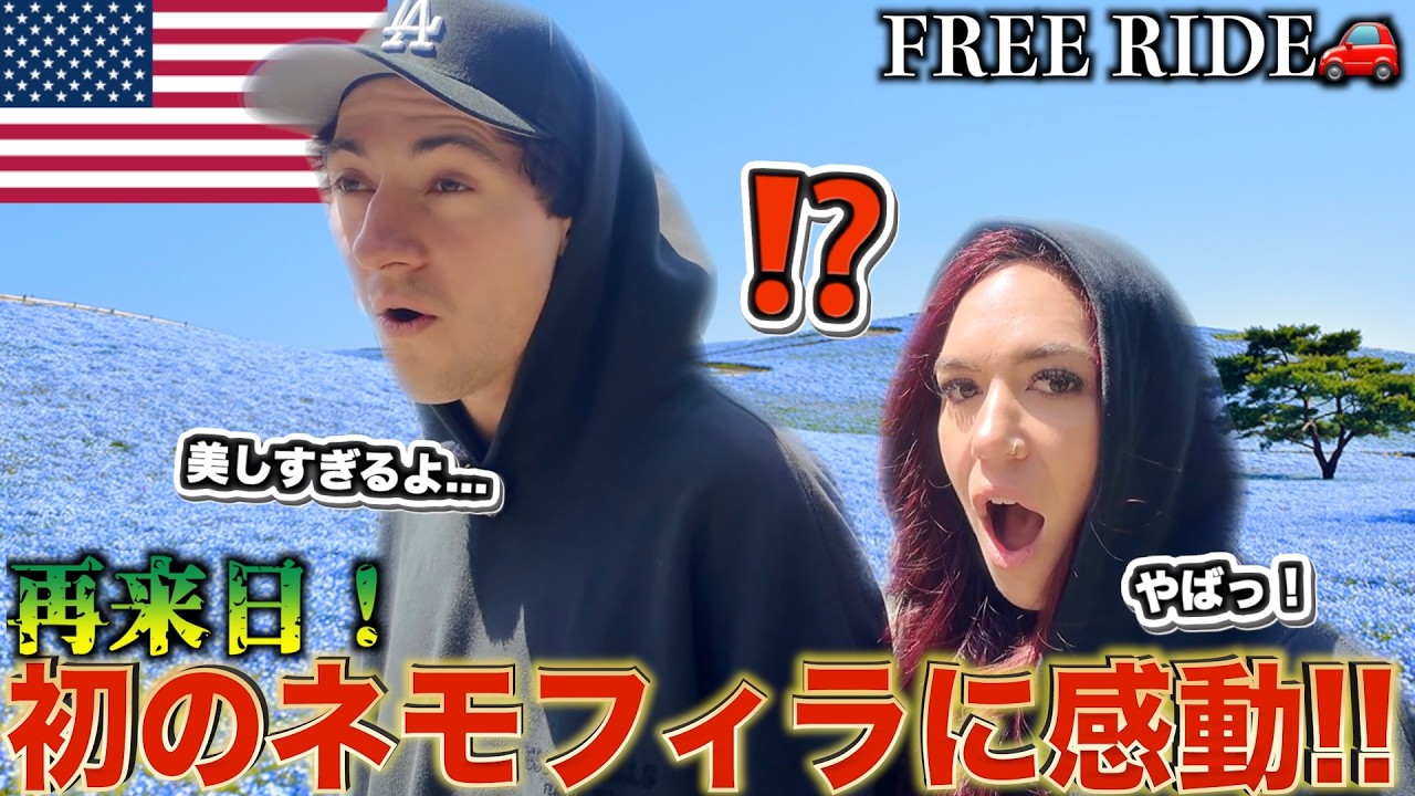 「なんて美しいんだ....」外国人カップルがネモフィラと魚市場に大感動！